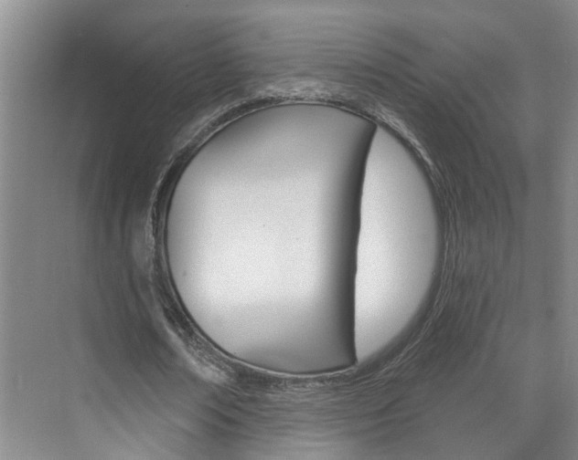 X0000074940674200609010946