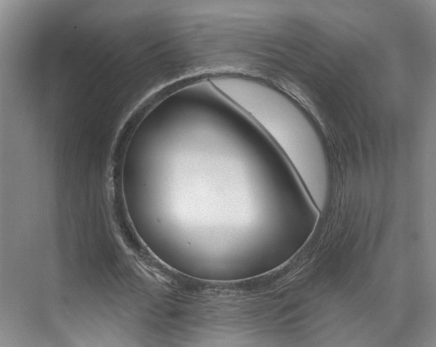 X0000074940676200609010946