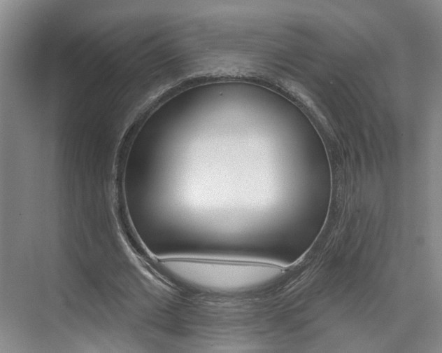 X0000074940677200609010946