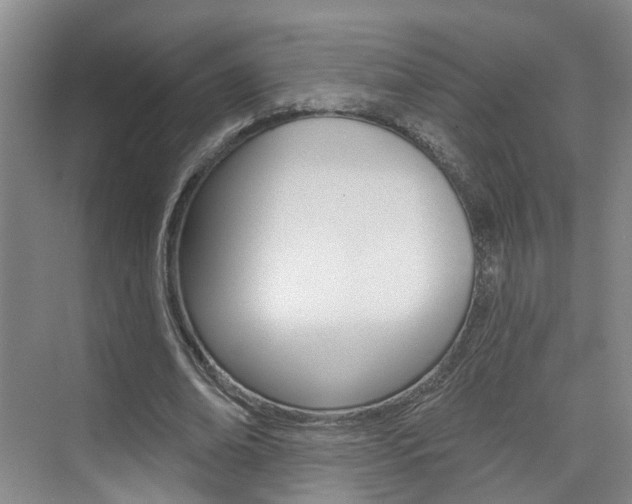 X0000074940678200609010945