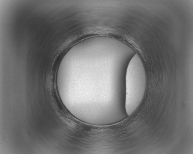 X0000074940679200609010945