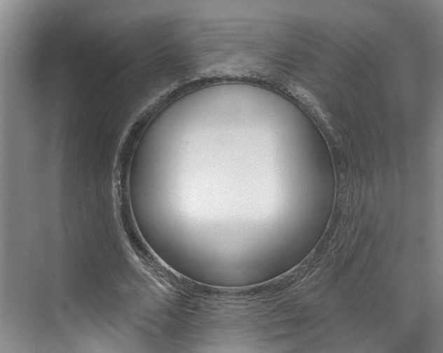 X0000074940680200609010945