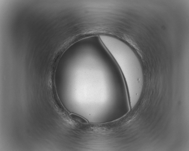 X0000074940681200609010945