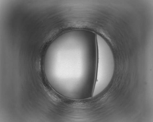 X0000074940685200609010945