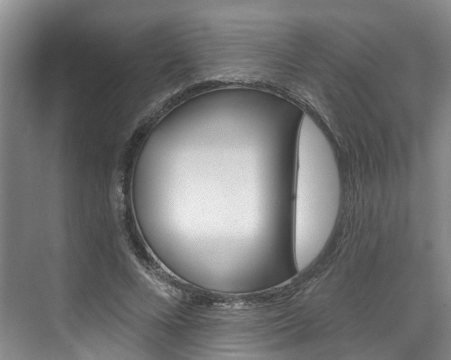 X0000074940688200609010945