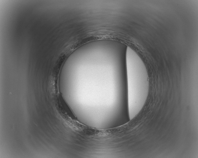 X0000074940696200609010945