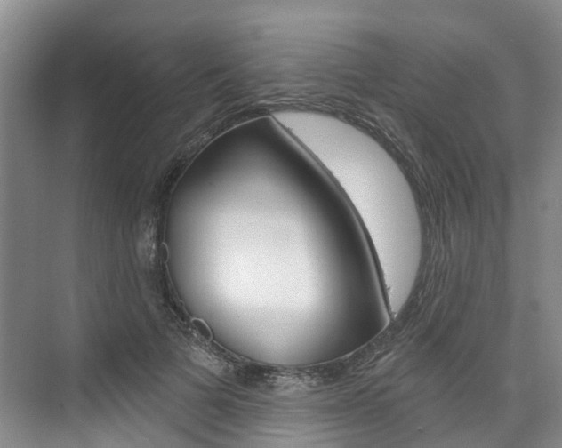 X0000074940697200609010945