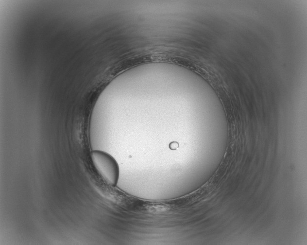 X0000074940698200609010945