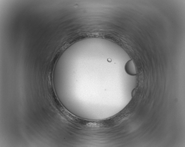 X0000074940699200609010945