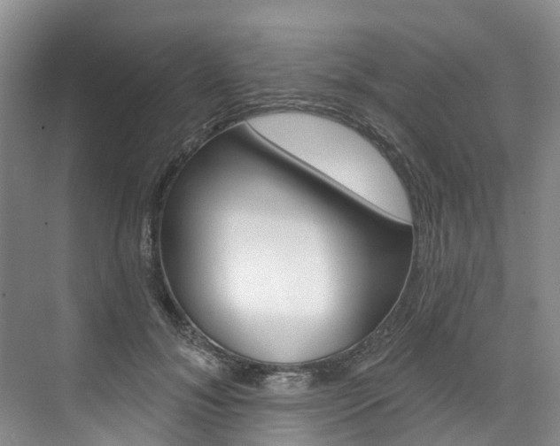 X0000074940700200609010945