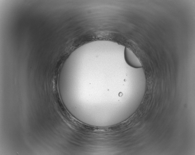 X0000074940703200609010945