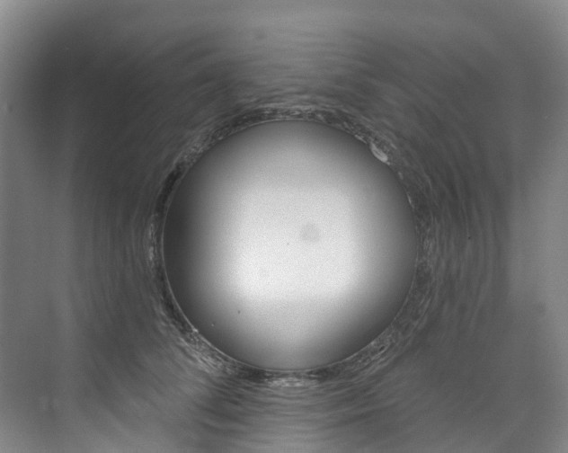 X0000074940708200609010945