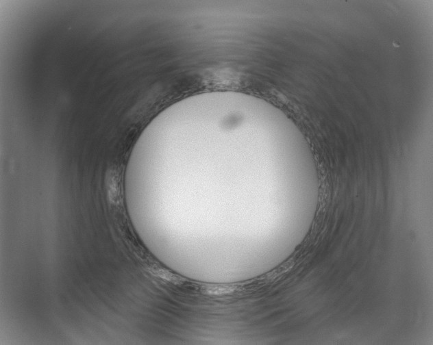 X0000074940709200609010945