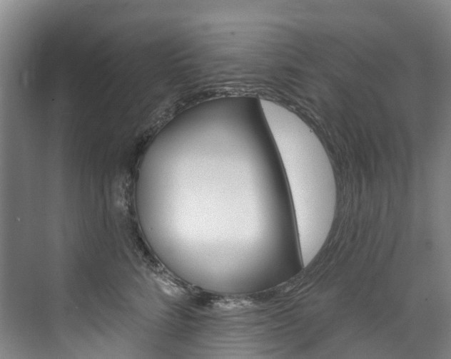 X0000074940712200609010945