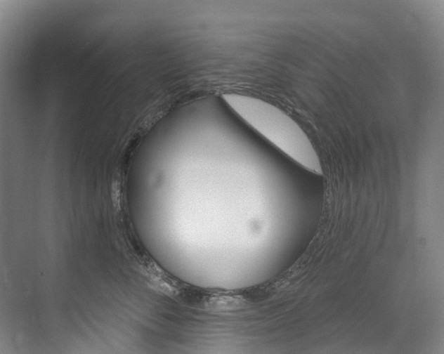 X0000074940716200609010945