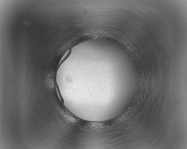 X0000074940719200609010945