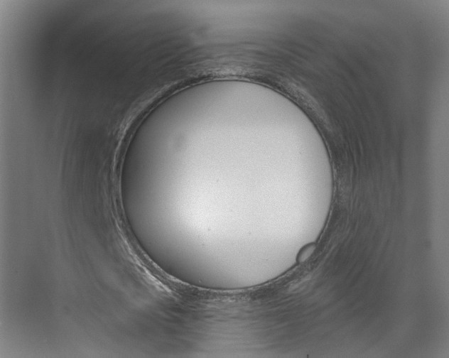 X0000074940721200609010944