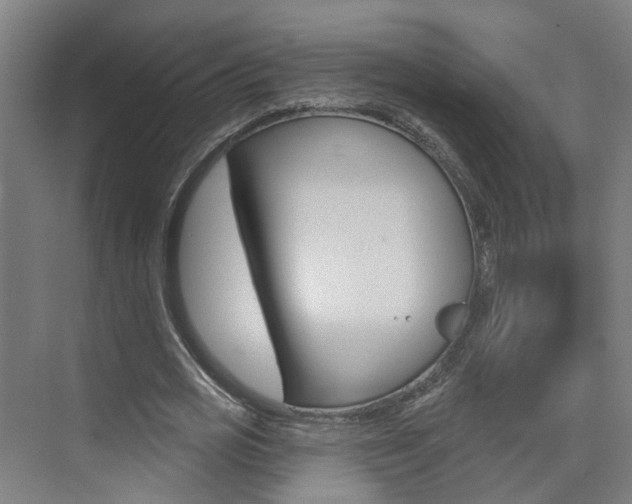 X0000074940725200609010944