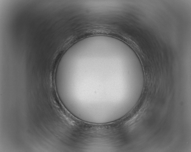 X0000074940729200609010944