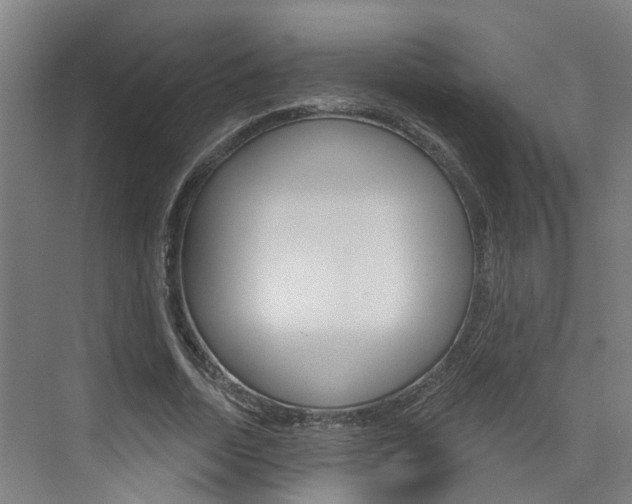 X0000074940730200609010944