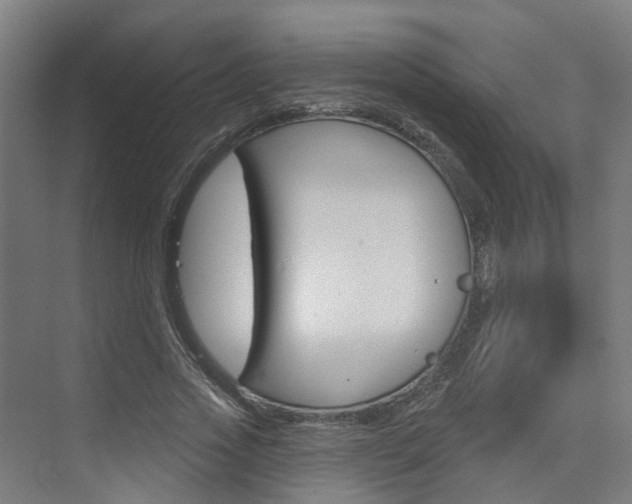 X0000074940733200609010944