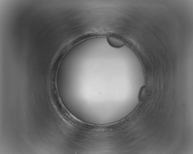 X0000074940736200609010944