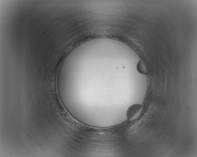 X0000074940737200609010944