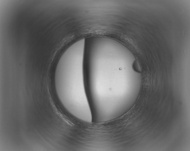 X0000074940738200609010944