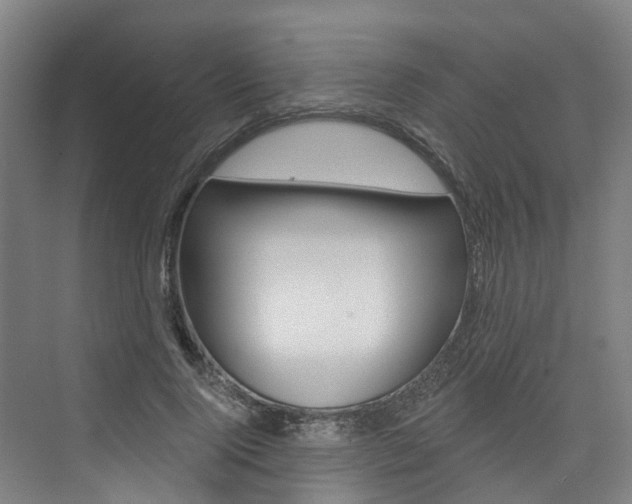 X0000074940740200609010944