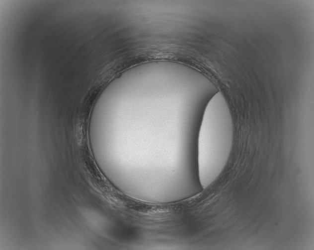 X0000074940741200609010944