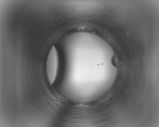 X0000074940754200609010945