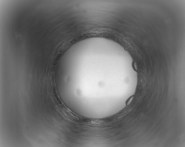 X0000074940758200609010945