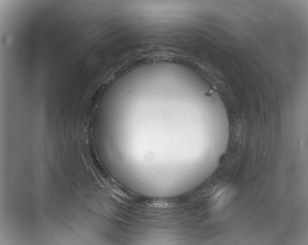 X0000074940759200609010945