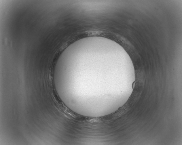 X0000074940761200609010945