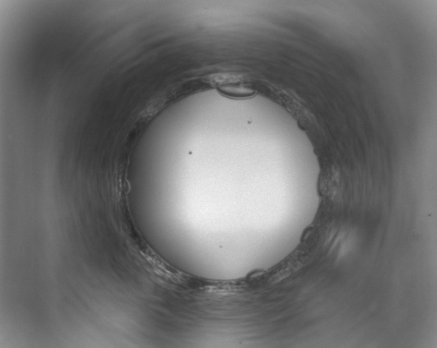 X0000074940763200609010945