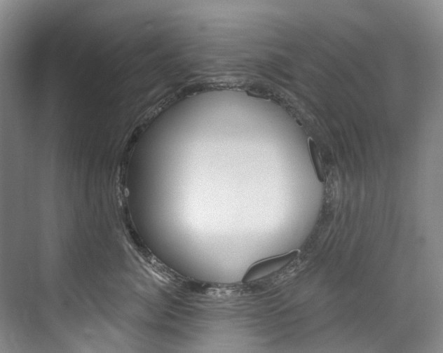 X0000074940764200609010945