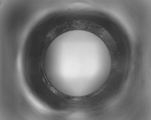 X0000074940765200609010945