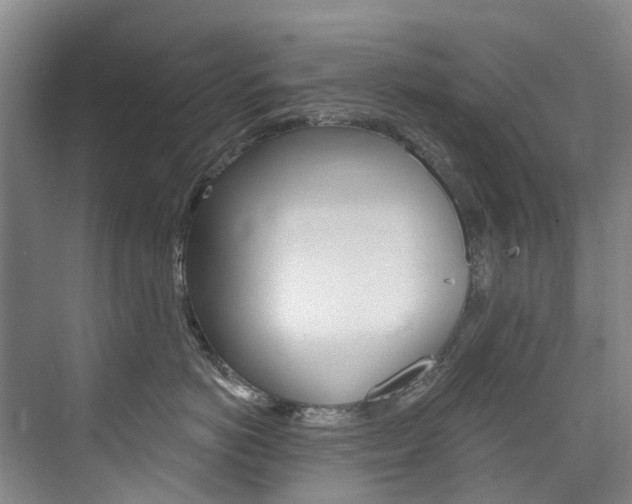 X0000074940766200609010945