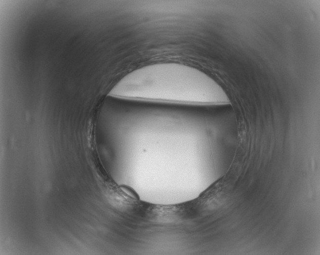 X0000074940767200609010945