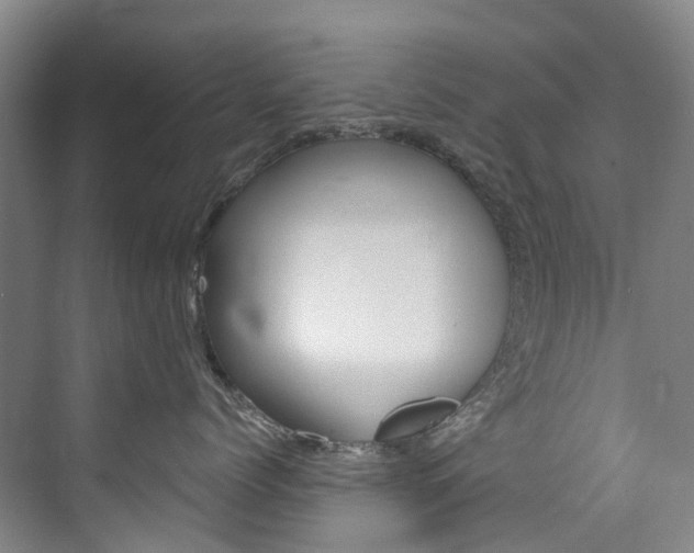 X0000074940768200609010945