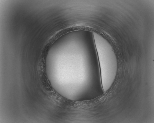 X0000074940776200609010944