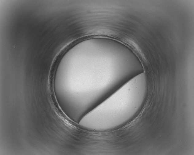 X0000074940780200609010944