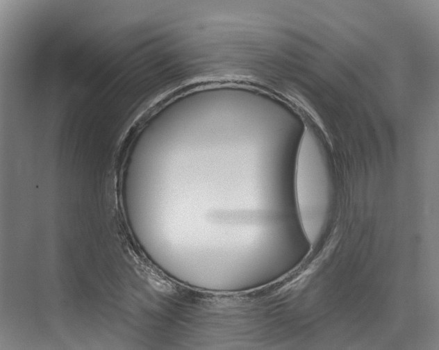 X0000074940781200609010944