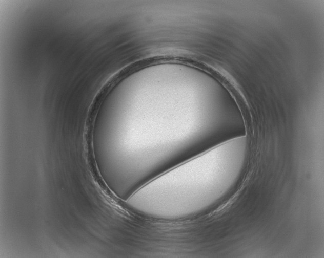 X0000074940783200609010944