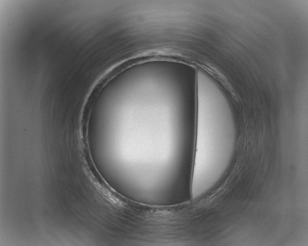 X0000074940784200609010944