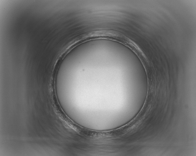 X0000074940786200609010944