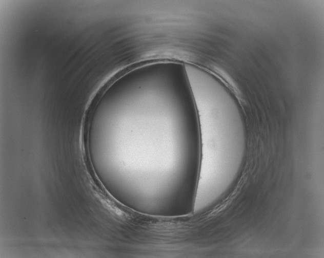 X0000074940788200609010944