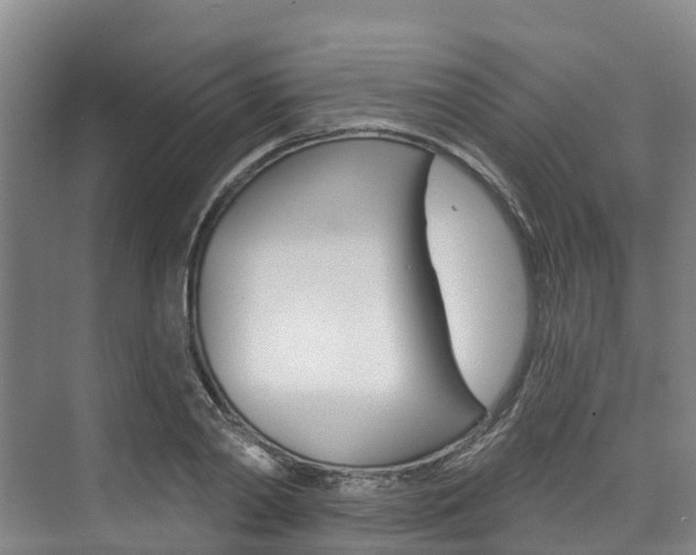 X0000074940790200609010944