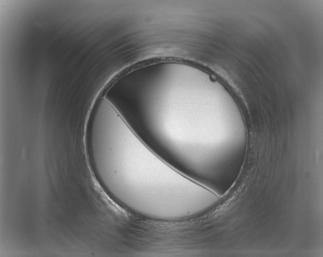 X0000074940791200609010944