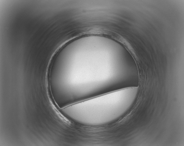 X0000074940795200609010944